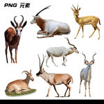 羚羊免扣元素