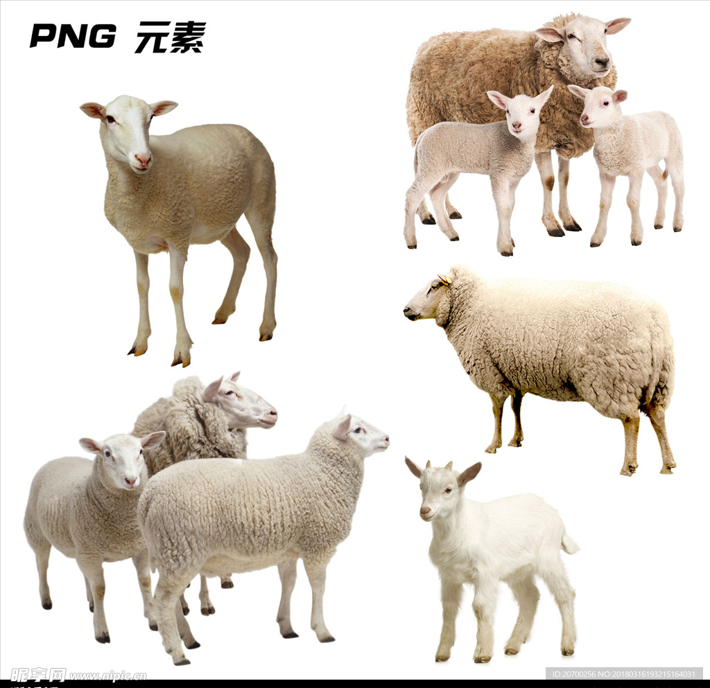 绵羊免扣元素