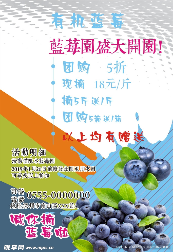 蓝莓宣传页