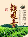 铁观音包装A面