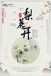 梨花开海报