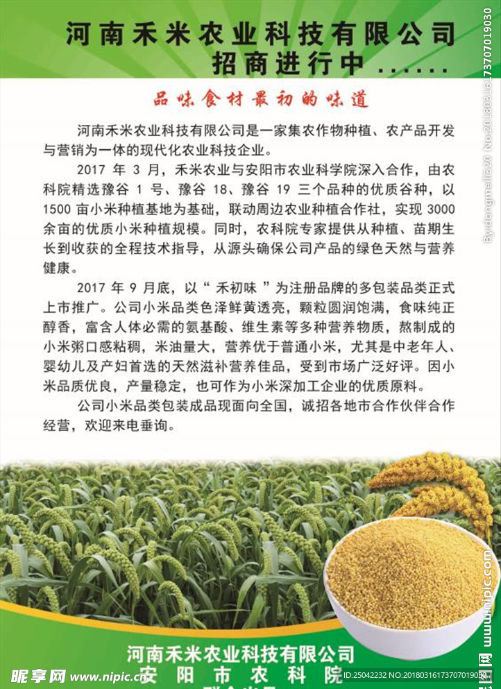 农业宣传单