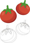 西红柿矢量素材