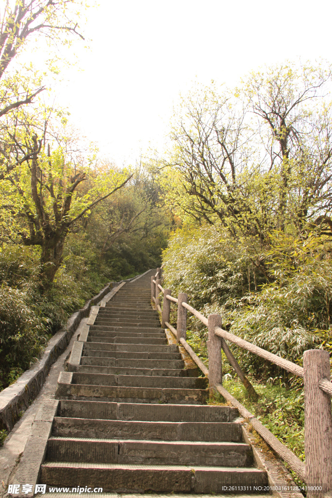 台阶山路