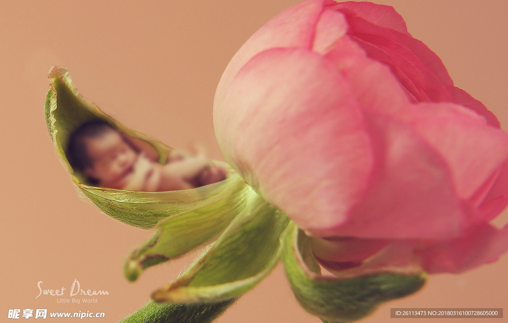 儿童 摄影 写真 3d 模板