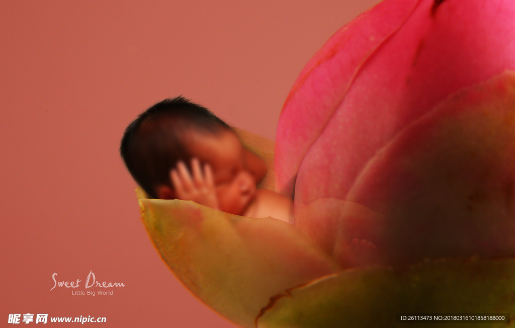 儿童 摄影 写真 3d 模板