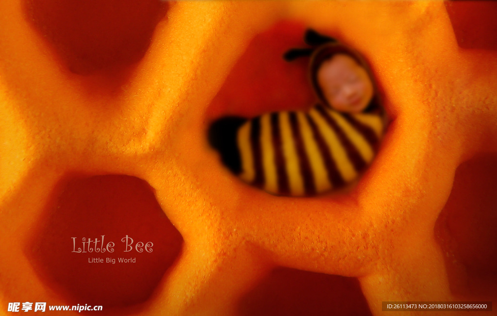 儿童 摄影 写真 3d 模板