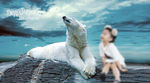 儿童 摄影 写真 3d 模板