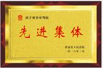 荣誉证书 木托奖牌