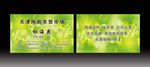 绿色清新名片