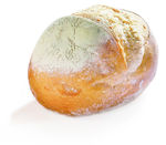 法式面包圆