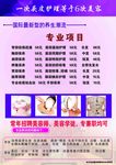 汗蒸背面彩页