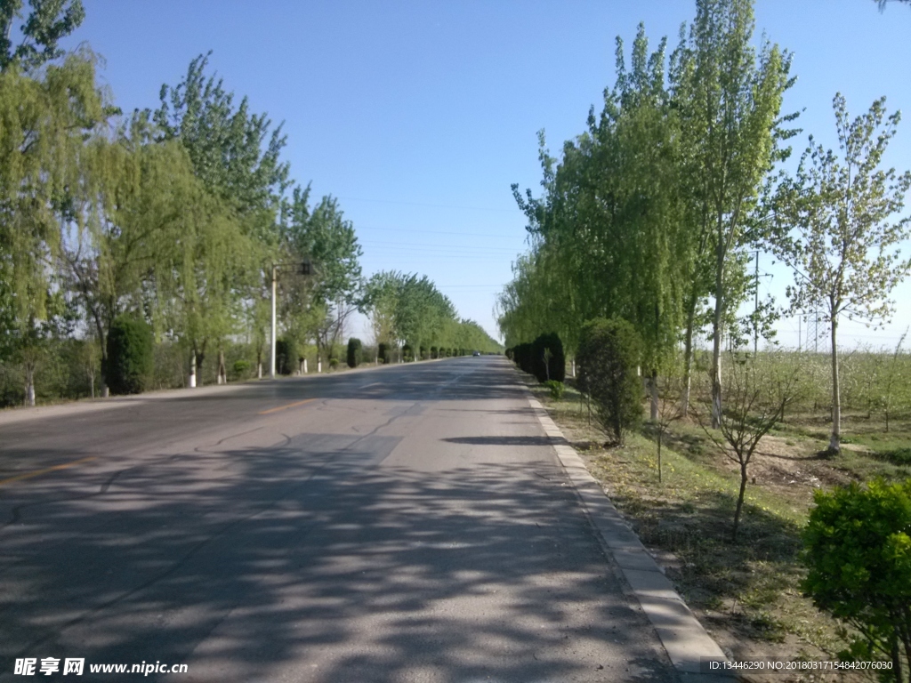 柏油路