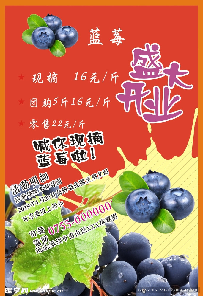 蓝莓宣传页