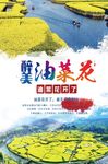 醉美油菜花