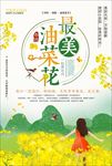 油菜花