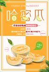 哈密怪海报