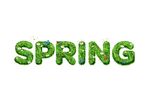春天 spring