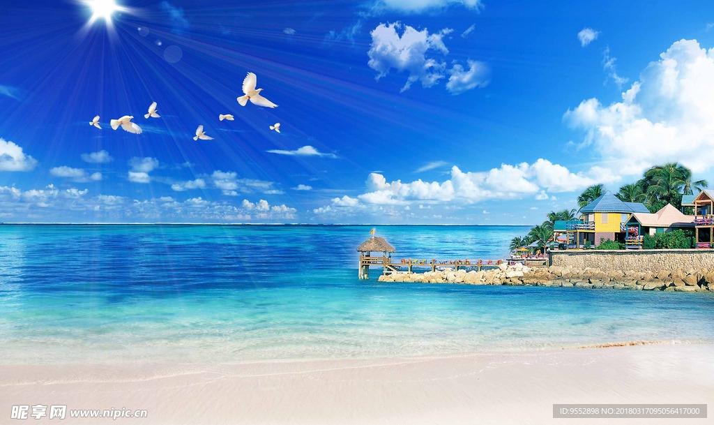 大海沙滩海鸥马尔代夫热带风光