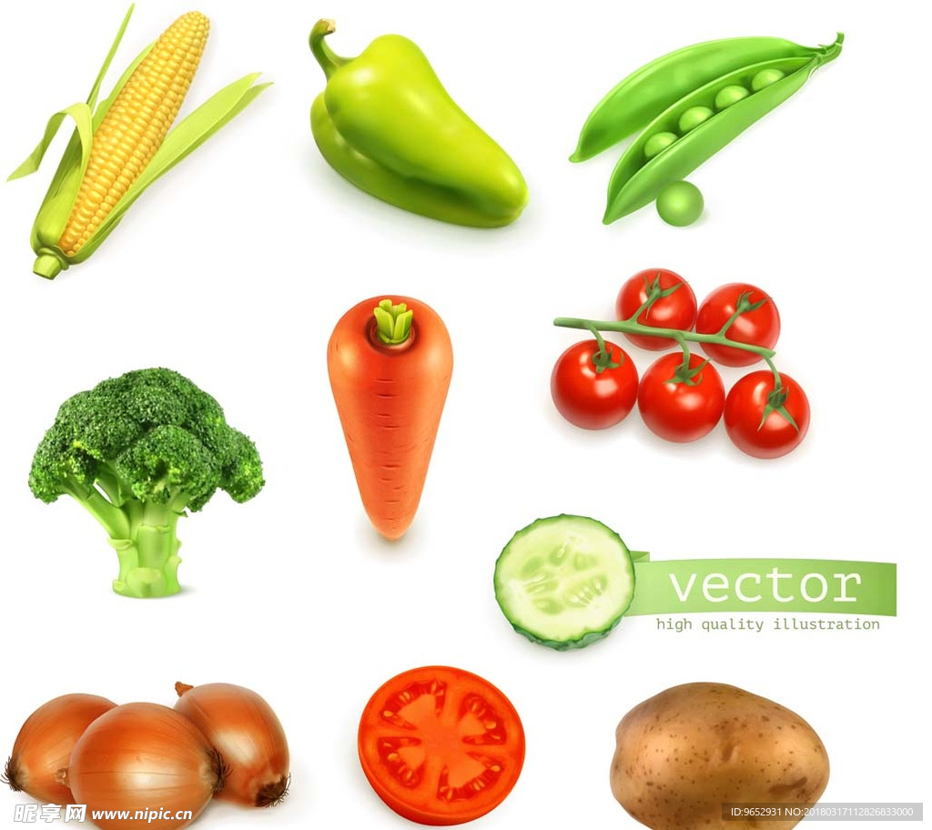 新鲜 蔬菜 营养 西兰花 红萝