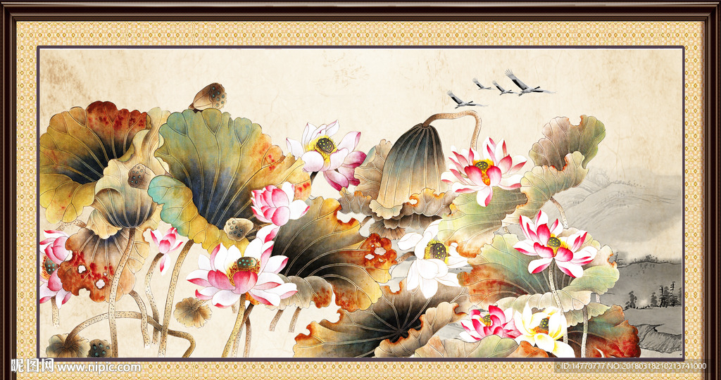 荷花图