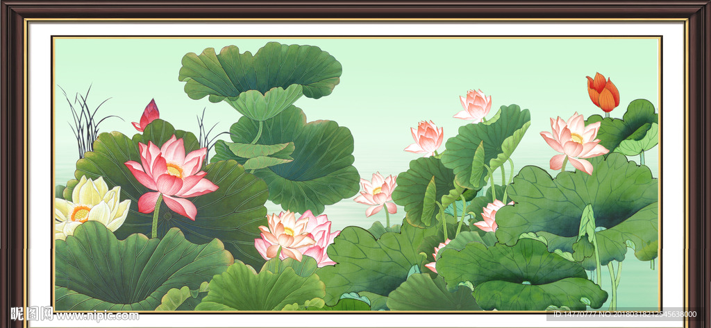 荷花图