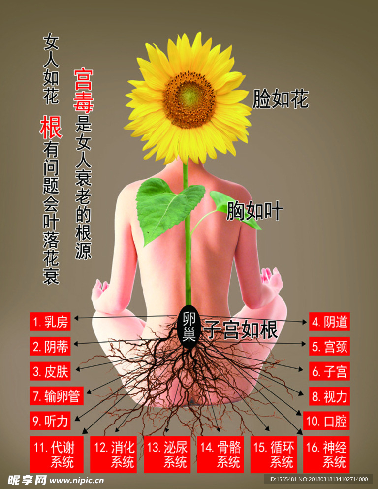 美容瘦身理疗养生之子宫如根