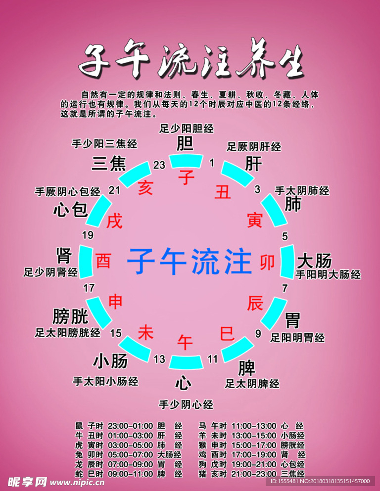 美容瘦身理疗养生之子午流注养生