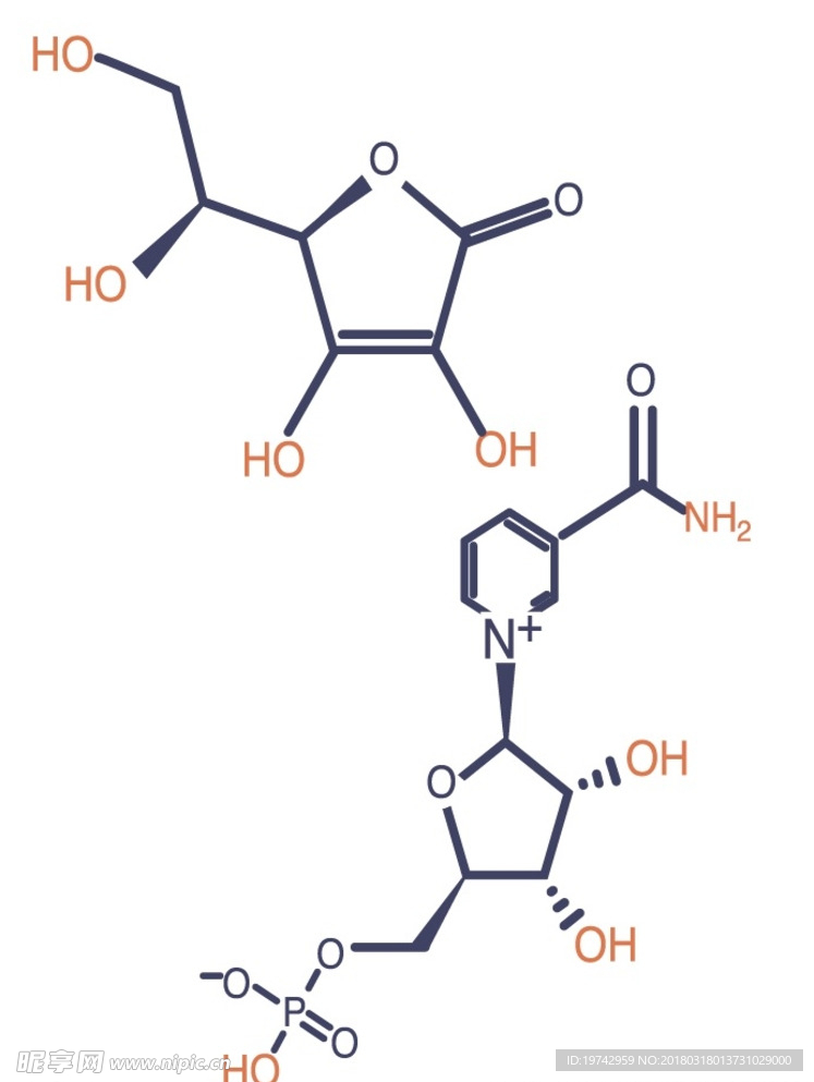 分子式