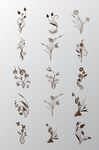 植物花纹