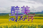 醉美油菜花时节