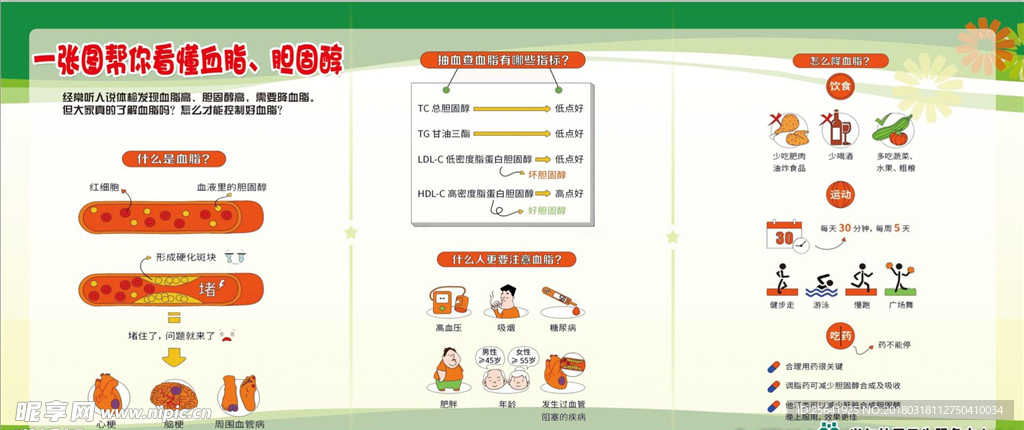 图解血脂，胆固醇
