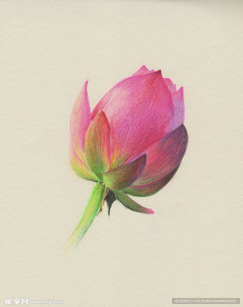 荷