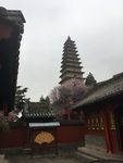 普救寺