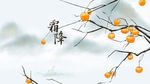 霜降节气中国风插画