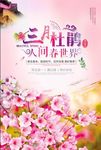 三月杜鹃