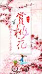 桃花海报 桃花节 桃花节宣传