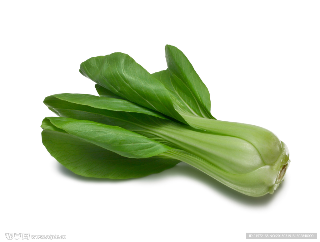 青菜