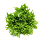 生菜