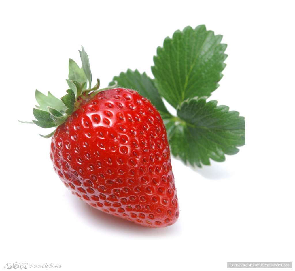 草莓
