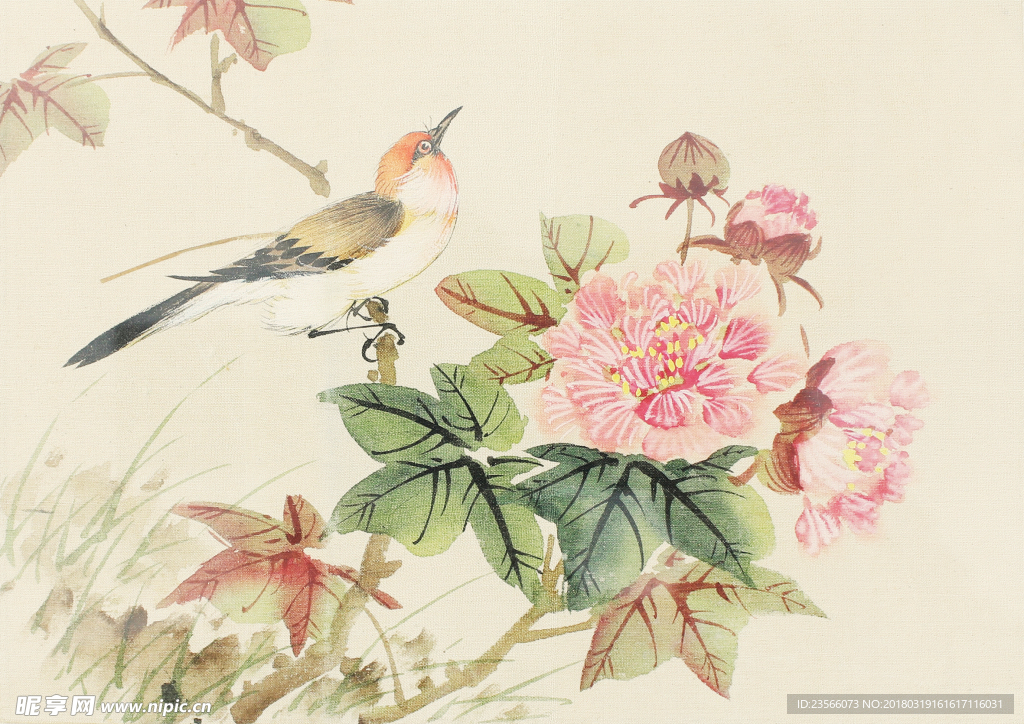 中式花朵植物牡丹鸟儿画