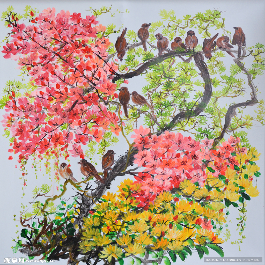 鸟语花香彩色花朵画