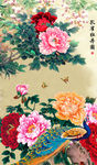 玄关牡丹孔雀富贵图