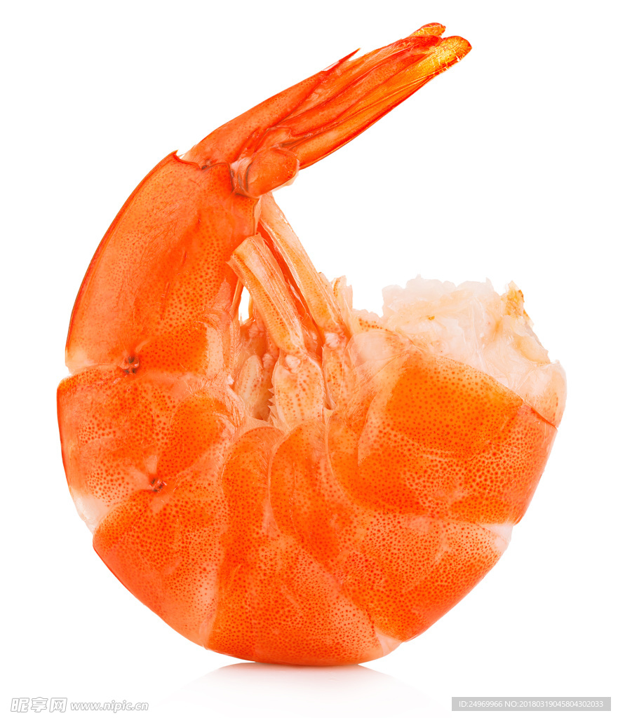 虾