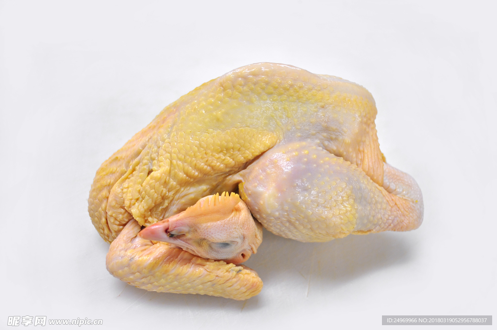 鸡肉