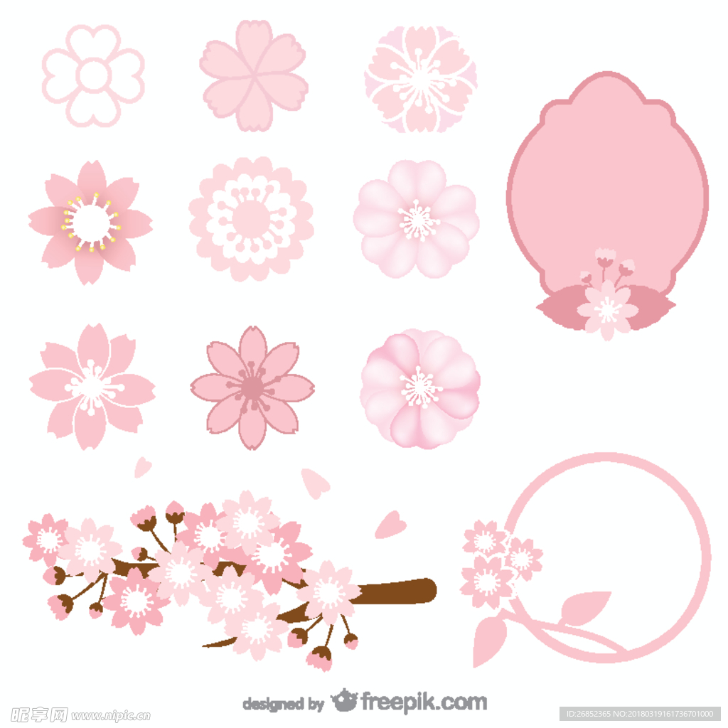 春天樱花