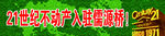 21世纪不动产广告