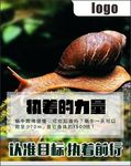 执着方向的力量