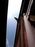中式建筑