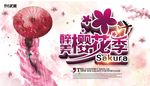 醉美樱花季